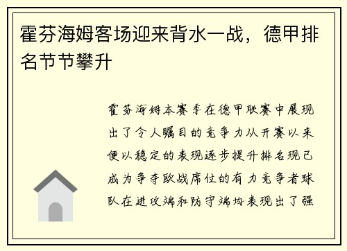 霍芬海姆客场迎来背水一战，德甲排名节节攀升